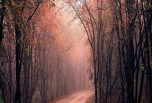 季后赛强度!辽鲁战争议判罚不断 韩德君6分钟5犯 杨鸣暴跳如雷.