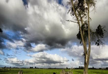 [CBA]山西客场击败浙江 迎来三连胜.