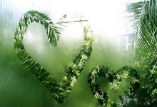 杜兰特彻底失望,不是102-132惨败凯尔特人这么简单,还因为.