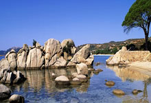 巅峰国际:自研系统助力亚冬会短道速滑央视体育.